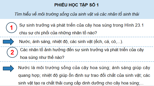 Giáo án điện tử Sinh 12 Kết nối tri thức Bài 23: Môi trường và các nhân tố sinh thái | PPT Sinh học 12