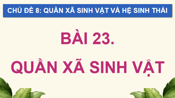 Giáo án điện tử Sinh 12 Chân trời sáng tạo Bài 23: Quần xã sinh vật | PPT Sinh học 12
