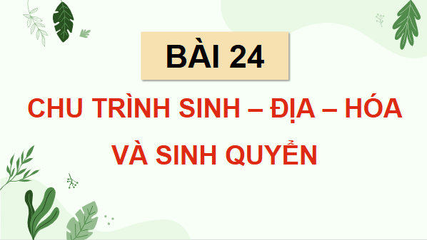 Giáo án điện tử Sinh 12 Cánh diều Bài 24: Chu trình sinh - địa - hoá và sinh quyển | PPT Sinh học 12