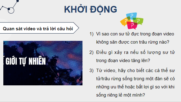 Giáo án điện tử Sinh 12 Kết nối tri thức Bài 24: Sinh thái học quần thể | PPT Sinh học 12