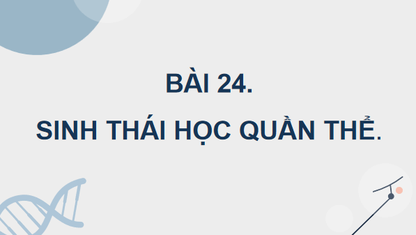 Giáo án điện tử Sinh 12 Kết nối tri thức Bài 24: Sinh thái học quần thể | PPT Sinh học 12