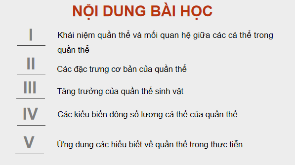 Giáo án điện tử Sinh 12 Kết nối tri thức Bài 24: Sinh thái học quần thể | PPT Sinh học 12