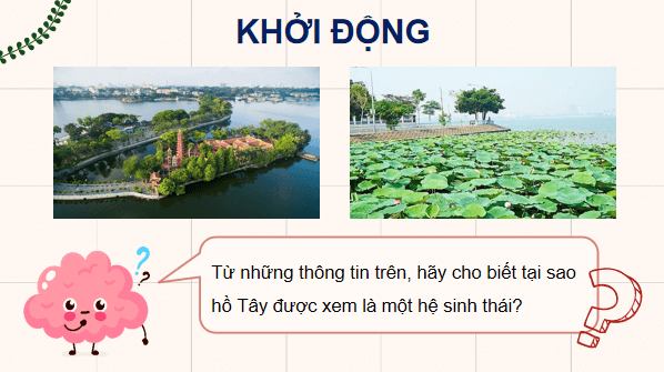 Giáo án điện tử Sinh 12 Chân trời sáng tạo Bài 25: Hệ sinh thái | PPT Sinh học 12