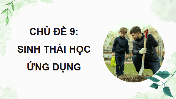 Giáo án điện tử Sinh 12 Cánh diều Bài 25: Sinh thái học phục hồi, bảo tồn | PPT Sinh học 12