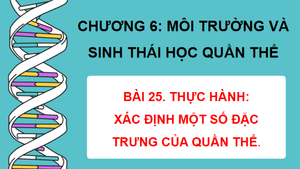 Giáo án điện tử Sinh 12 Kết nối tri thức Bài 25: Thực hành: Xác định một số đặc trưng của quần thể | PPT Sinh học 12