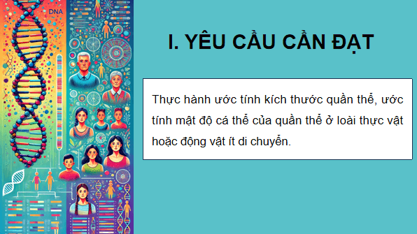 Giáo án điện tử Sinh 12 Kết nối tri thức Bài 25: Thực hành: Xác định một số đặc trưng của quần thể | PPT Sinh học 12