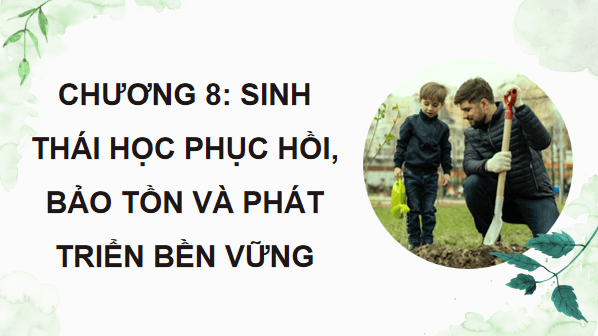 Giáo án điện tử Sinh 12 Chân trời sáng tạo Bài 27: Sinh thái học phục hồi và bảo tồn | PPT Sinh học 12