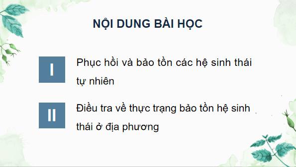 Giáo án điện tử Sinh 12 Chân trời sáng tạo Bài 27: Sinh thái học phục hồi và bảo tồn | PPT Sinh học 12