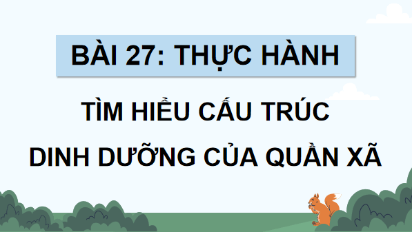 Giáo án điện tử Sinh 12 Kết nối tri thức Bài 27: Thực hành: Tìm hiểu cấu trúc dinh dưỡng của quần xã trong tự nhiên | PPT Sinh học 12