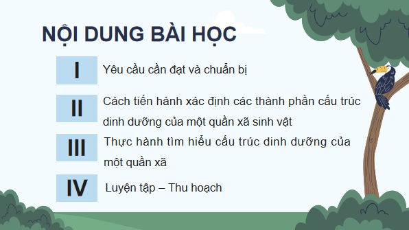 Giáo án điện tử Sinh 12 Kết nối tri thức Bài 27: Thực hành: Tìm hiểu cấu trúc dinh dưỡng của quần xã trong tự nhiên | PPT Sinh học 12