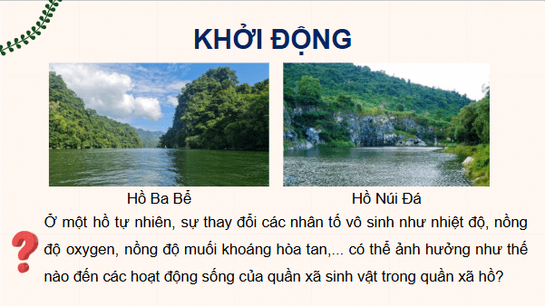Giáo án điện tử Sinh 12 Kết nối tri thức Bài 28: Hệ sinh thái | PPT Sinh học 12