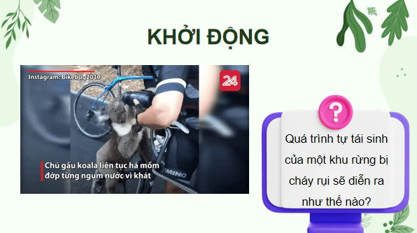 Giáo án điện tử Sinh 12 Kết nối tri thức Bài 30: Diễn thế sinh thái | PPT Sinh học 12