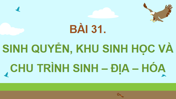 Giáo án điện tử Sinh 12 Kết nối tri thức Bài 31: Sinh quyển, khu sinh học và chu trình sinh - địa - hóa | PPT Sinh học 12