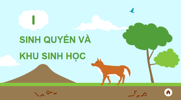 Giáo án điện tử Sinh 12 Kết nối tri thức Bài 31: Sinh quyển, khu sinh học và chu trình sinh - địa - hóa | PPT Sinh học 12