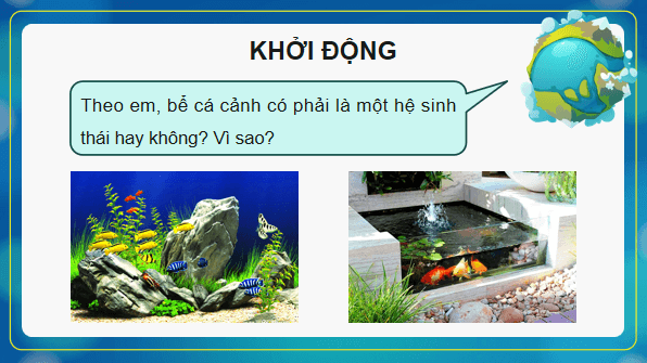 Giáo án điện tử Sinh 12 Kết nối tri thức Bài 32: Thực hành: Thiết kế một hệ sinh thái nhân tạo | PPT Sinh học 12