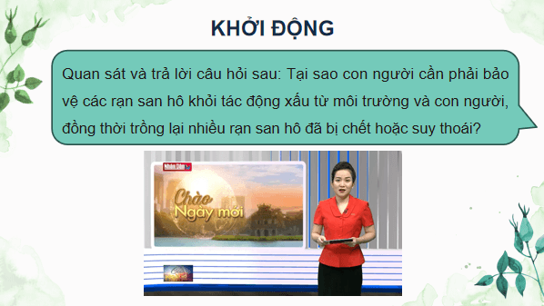 Giáo án điện tử Sinh 12 Kết nối tri thức Bài 33: Sinh thái học phục hồi và bảo tồn đa dạng sinh vật | PPT Sinh học 12