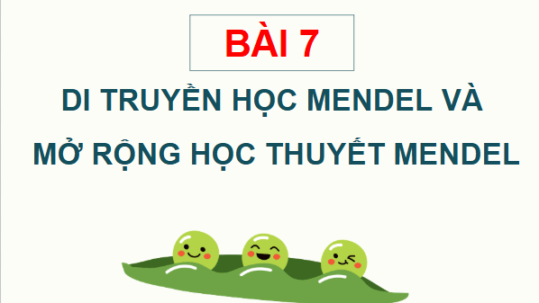 Giáo án điện tử Sinh 12 Cánh diều Bài 7: Di truyền học Mendel và mở rộng học thuyết Mendel | PPT Sinh học 12