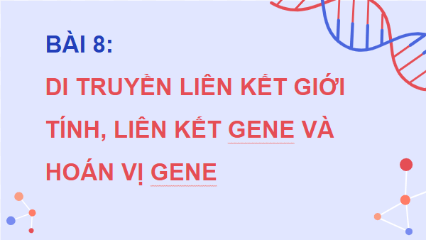 Giáo án điện tử Sinh 12 Cánh diều Bài 8: Di truyền liên kết giới tính, liên kết gene và hoán vị gene | PPT Sinh học 12