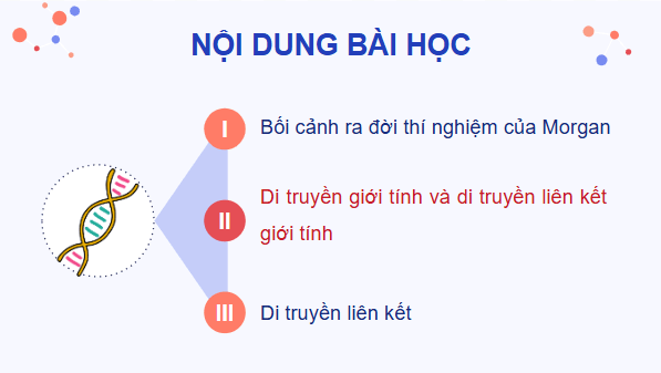 Giáo án điện tử Sinh 12 Cánh diều Bài 8: Di truyền liên kết giới tính, liên kết gene và hoán vị gene | PPT Sinh học 12