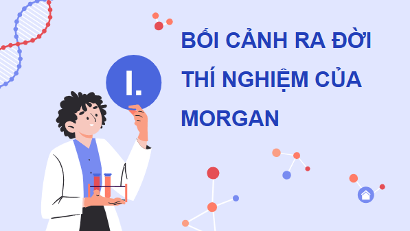 Giáo án điện tử Sinh 12 Cánh diều Bài 8: Di truyền liên kết giới tính, liên kết gene và hoán vị gene | PPT Sinh học 12