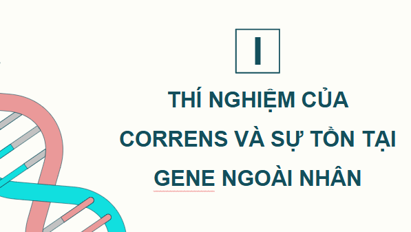 Giáo án điện tử Sinh 12 Cánh diều Bài 9: Di truyền gene ngoài nhân | PPT Sinh học 12