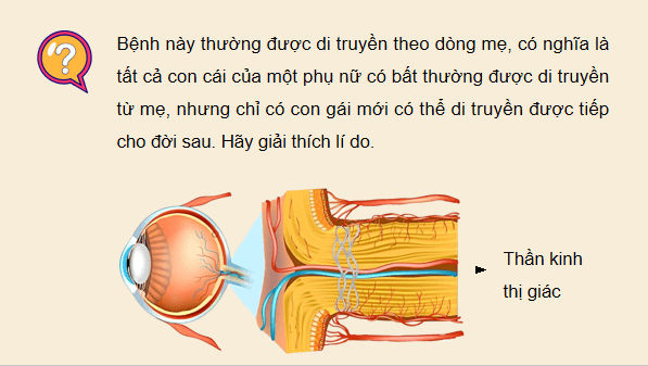Giáo án điện tử Sinh 12 Chân trời sáng tạo Bài 9: Di truyền gene ngoài nhân | PPT Sinh học 12