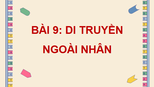 Giáo án điện tử Sinh 12 Chân trời sáng tạo Bài 9: Di truyền gene ngoài nhân | PPT Sinh học 12