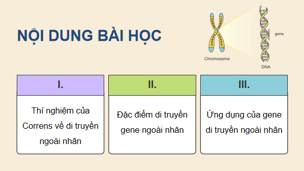 Giáo án điện tử Sinh 12 Chân trời sáng tạo Bài 9: Di truyền gene ngoài nhân | PPT Sinh học 12