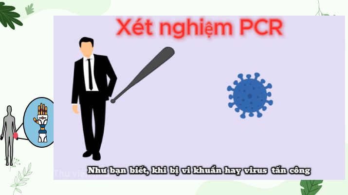 Giáo án điện tử Chuyên đề Sinh 12 Chân trời sáng tạo Bài 1: Khái quát sinh học phân tử và các thành tựu | PPT Chuyên đề Sinh học 12