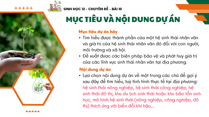 Giáo án điện tử Chuyên đề Sinh 12 Chân trời sáng tạo Bài 10: Dự án: Điều tra tìm hiểu về một trong các lĩnh vực sinh thái nhân văn tại địa phương | PPT Chuyên đề Sinh học 12