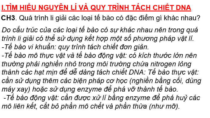 Giáo án điện tử Chuyên đề Sinh 12 Chân trời sáng tạo Bài 2: Tách chiết DNA từ tế bào | PPT Chuyên đề Sinh học 12