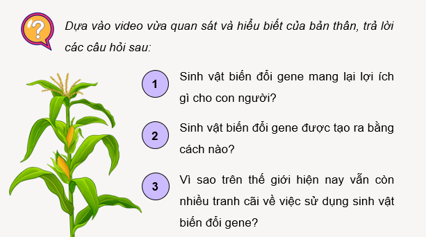 Giáo án điện tử Chuyên đề Sinh 12 Kết nối tri thức Bài 3: Công nghệ gene | PPT Chuyên đề Sinh học 12