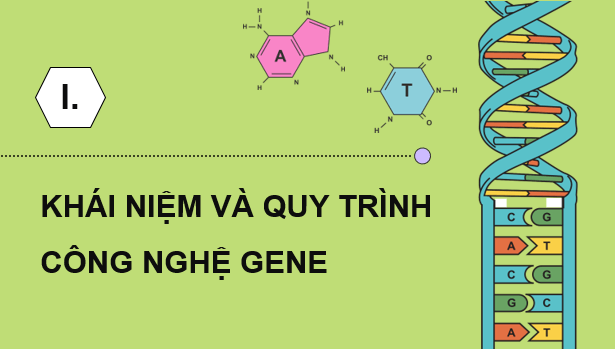 Giáo án điện tử Chuyên đề Sinh 12 Kết nối tri thức Bài 3: Công nghệ gene | PPT Chuyên đề Sinh học 12