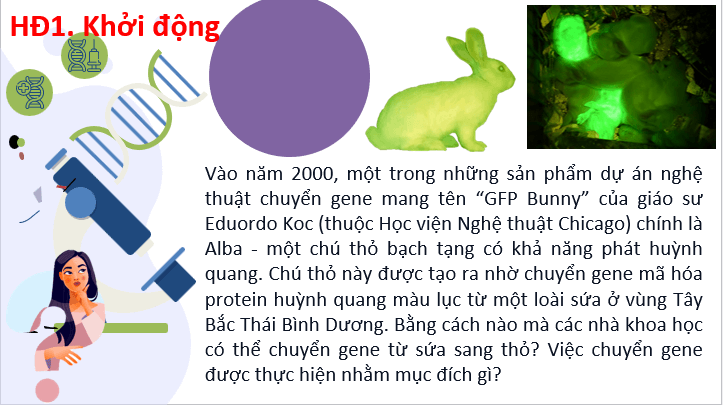 Giáo án điện tử Chuyên đề Sinh 12 Chân trời sáng tạo Bài 3: Công nghệ gene và thành tựu | PPT Chuyên đề Sinh học 12
