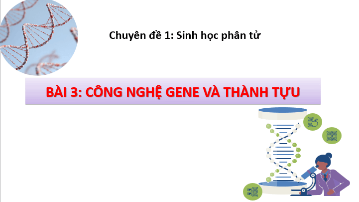 Giáo án điện tử Chuyên đề Sinh 12 Chân trời sáng tạo Bài 3: Công nghệ gene và thành tựu | PPT Chuyên đề Sinh học 12