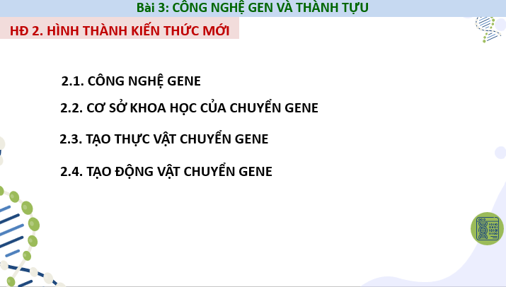 Giáo án điện tử Chuyên đề Sinh 12 Chân trời sáng tạo Bài 3: Công nghệ gene và thành tựu | PPT Chuyên đề Sinh học 12