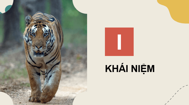 Giáo án điện tử Chuyên đề Sinh 12 Kết nối tri thức Bài 5: Khái niệm, cơ sở khoa học và vai trò của kiểm soát sinh học | PPT Chuyên đề Sinh học 12