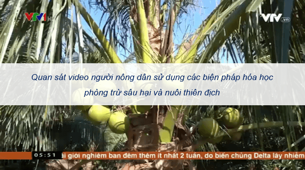 Giáo án điện tử Chuyên đề Sinh 12 Kết nối tri thức Bài 7: Dự án: Sưu tầm/điều tra ứng dụng kiểm soát sinh học | PPT Chuyên đề Sinh học 12