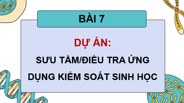 Giáo án điện tử Chuyên đề Sinh 12 Kết nối tri thức Bài 7: Dự án: Sưu tầm/điều tra ứng dụng kiểm soát sinh học | PPT Chuyên đề Sinh học 12