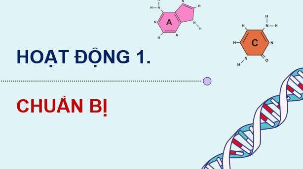 Giáo án điện tử Chuyên đề Sinh 12 Kết nối tri thức Bài 7: Dự án: Sưu tầm/điều tra ứng dụng kiểm soát sinh học | PPT Chuyên đề Sinh học 12
