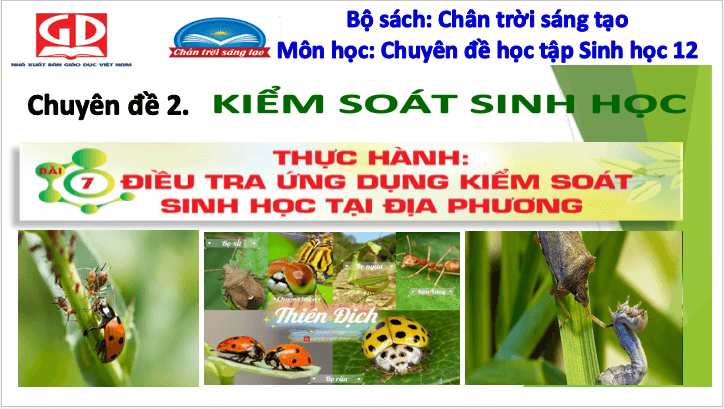 Giáo án điện tử Chuyên đề Sinh 12 Chân trời sáng tạo Bài 7: Thực hành: Điều tra ứng dụng kiểm soát sinh học tại địa phương | PPT Chuyên đề Sinh học 12