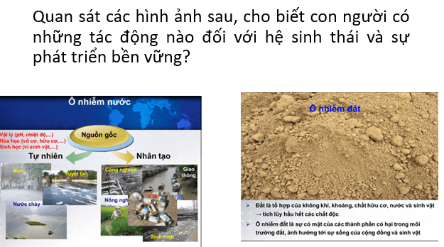 Giáo án điện tử Chuyên đề Sinh 12 Chân trời sáng tạo Bài 8: Khái niệm và giá trị của sinh thái nhân văn | PPT Chuyên đề Sinh học 12