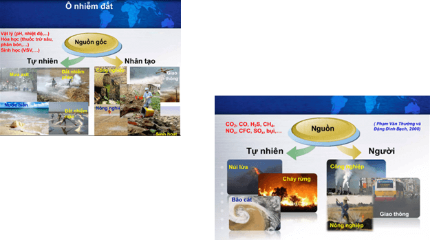 Giáo án điện tử Chuyên đề Sinh 12 Chân trời sáng tạo Bài 8: Khái niệm và giá trị của sinh thái nhân văn | PPT Chuyên đề Sinh học 12