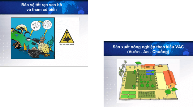 Giáo án điện tử Chuyên đề Sinh 12 Chân trời sáng tạo Bài 8: Khái niệm và giá trị của sinh thái nhân văn | PPT Chuyên đề Sinh học 12