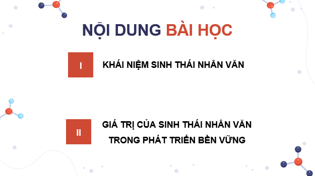Giáo án điện tử Chuyên đề Sinh 12 Kết nối tri thức Bài 8: Khái niệm và giá trị của sinh thái nhân văn trong phát triển bền vững | PPT Chuyên đề Sinh học 12