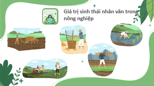 Giáo án điện tử Chuyên đề Sinh 12 Chân trời sáng tạo Bài 9: Giá trị sinh thái nhân văn trong một số lĩnh vực | PPT Chuyên đề Sinh học 12