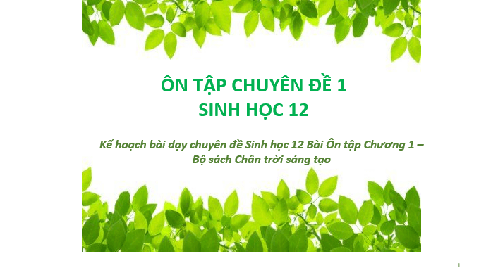 Giáo án điện tử Chuyên đề Sinh 12 Chân trời sáng tạo Ôn tập Chuyên đề 1 | PPT Chuyên đề Sinh học 12