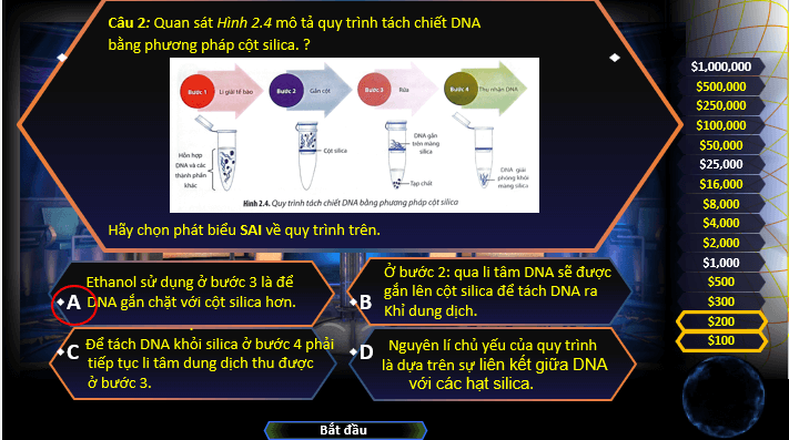 Giáo án điện tử Chuyên đề Sinh 12 Chân trời sáng tạo Ôn tập Chuyên đề 1 | PPT Chuyên đề Sinh học 12