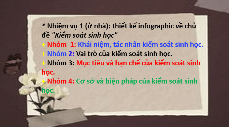 Giáo án điện tử Chuyên đề Sinh 12 Chân trời sáng tạo Ôn tập Chuyên đề 2 | PPT Chuyên đề Sinh học 12