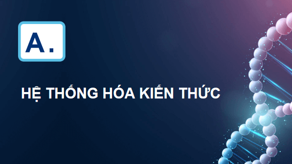 Giáo án điện tử Sinh 12 Chân trời sáng tạo Ôn tập Chương 1 | PPT Sinh học 12